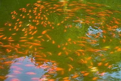 《虚实万象》试玩内容曝光 解谜全靠小萝莉